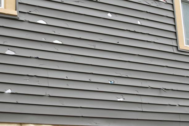 Best Steel Siding Installation  in Kenosha, WI